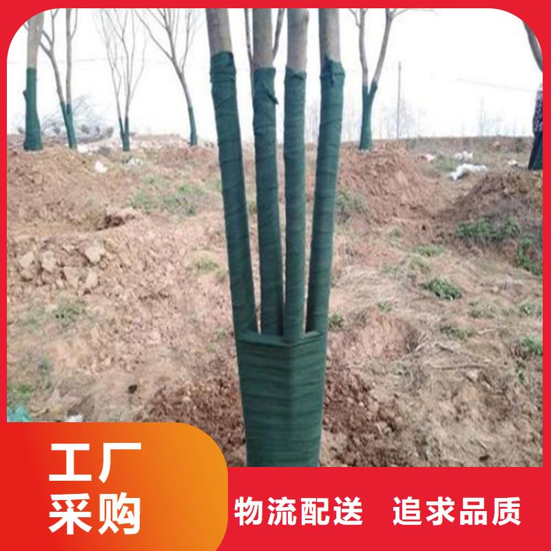 裹樹布_土工膜擁有多家成功案例
