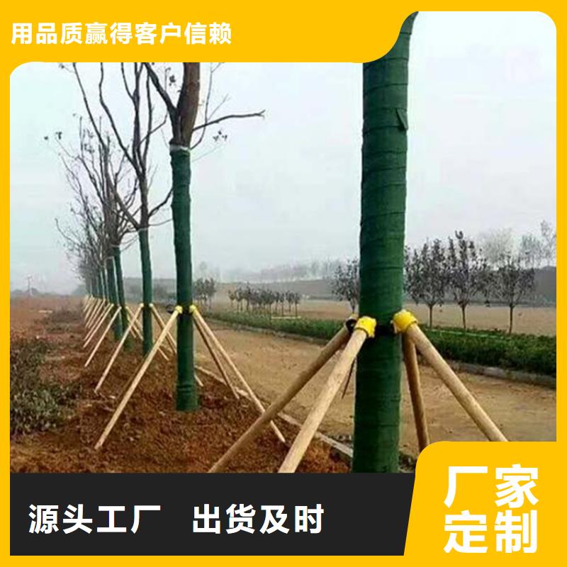 土工格栅视频-土工格栅(中齐)覆盖地域河南省商丘市虞城|永城|濮阳|开封|洛阳|驻马店|郑州|南阳