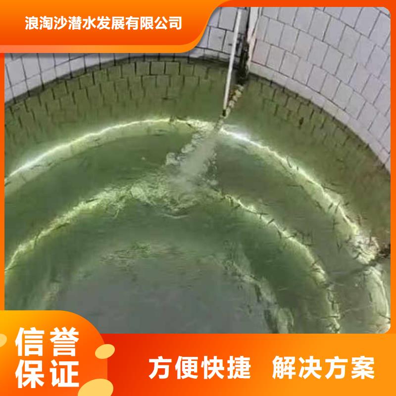水下作業(yè)潛水員服務(wù)水下攝影一站搞定