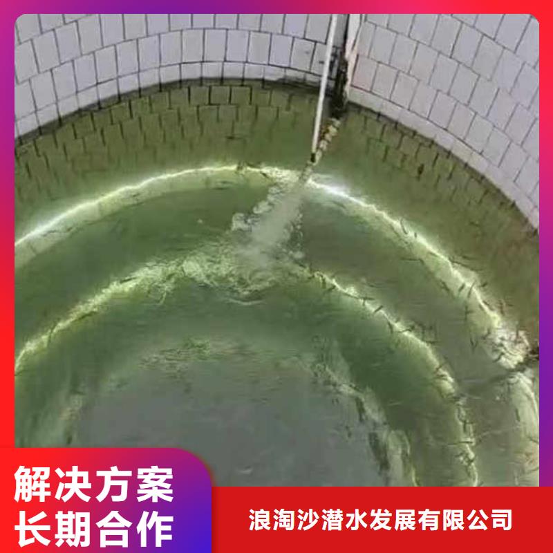 雨污管道氣囊堵水一互惠互利本地