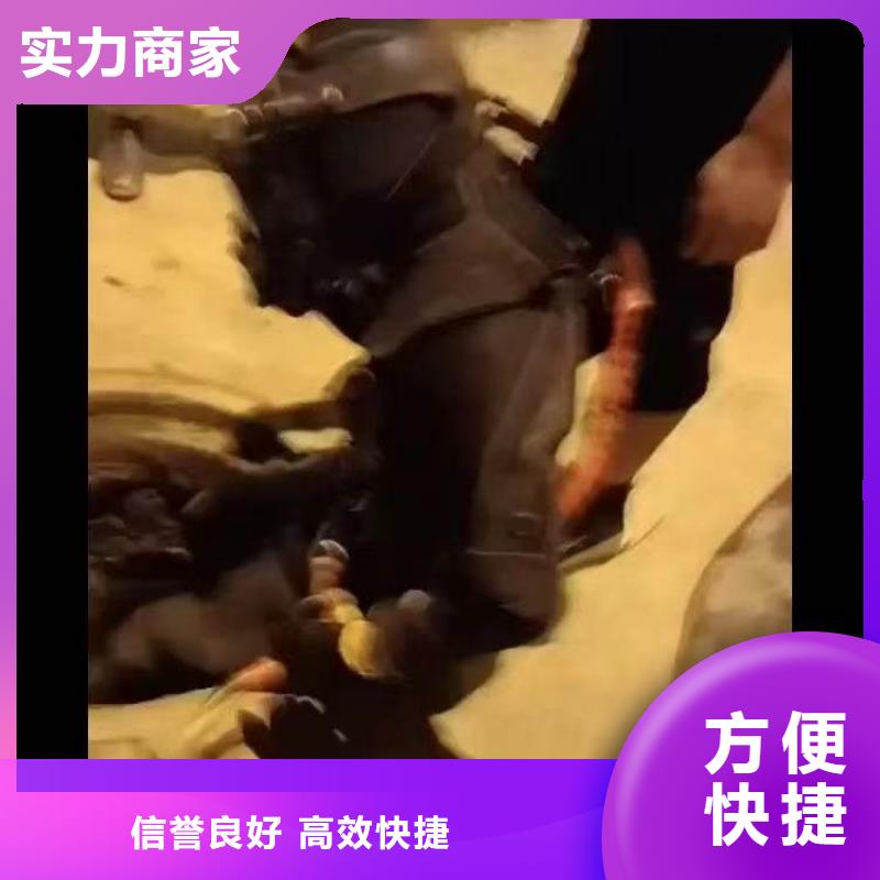 水下作业潜水员服务水下切割公司专业承接