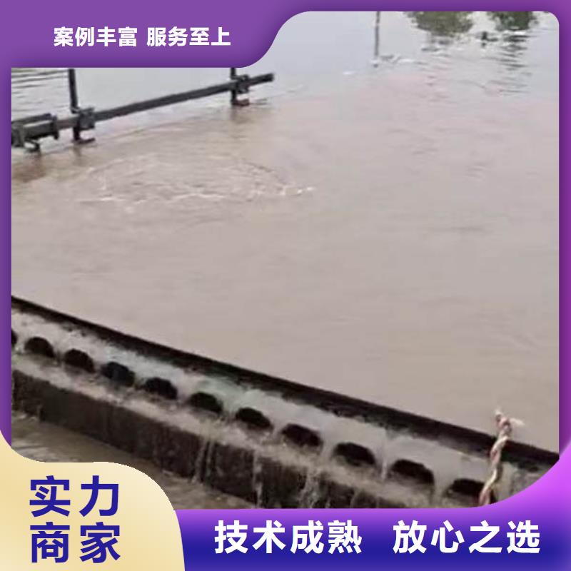 水下攝影、水下清泥一本地潛水服務商