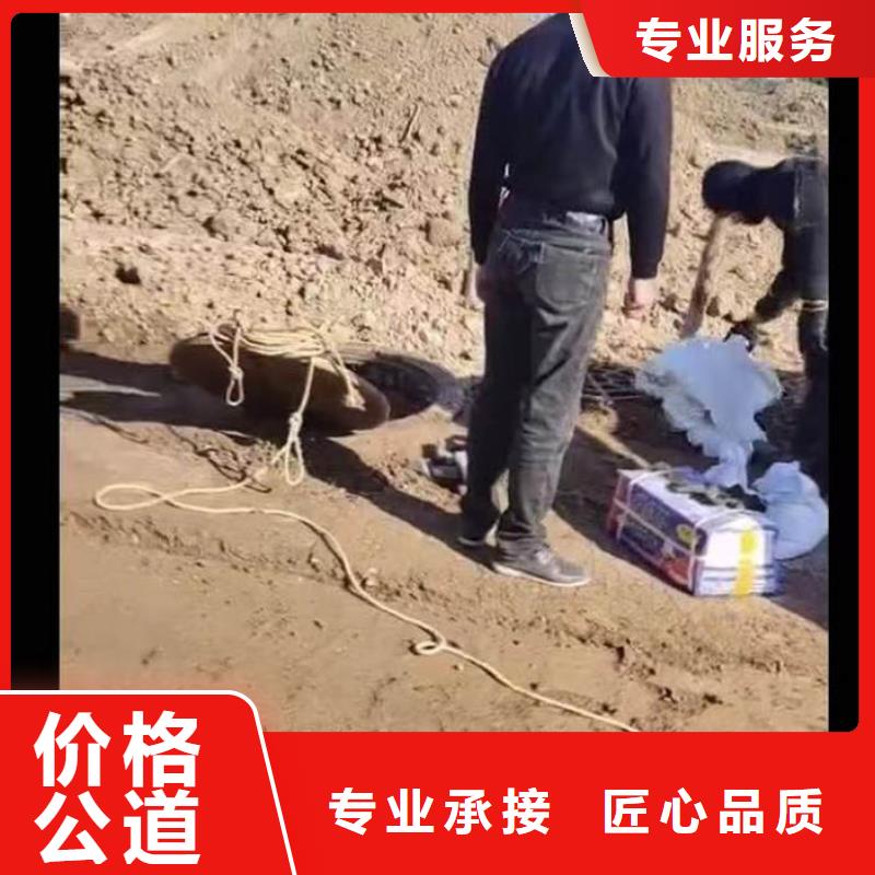 汕頭鷗汀街道污水廠打撈泵廠家價格浪淘沙水工