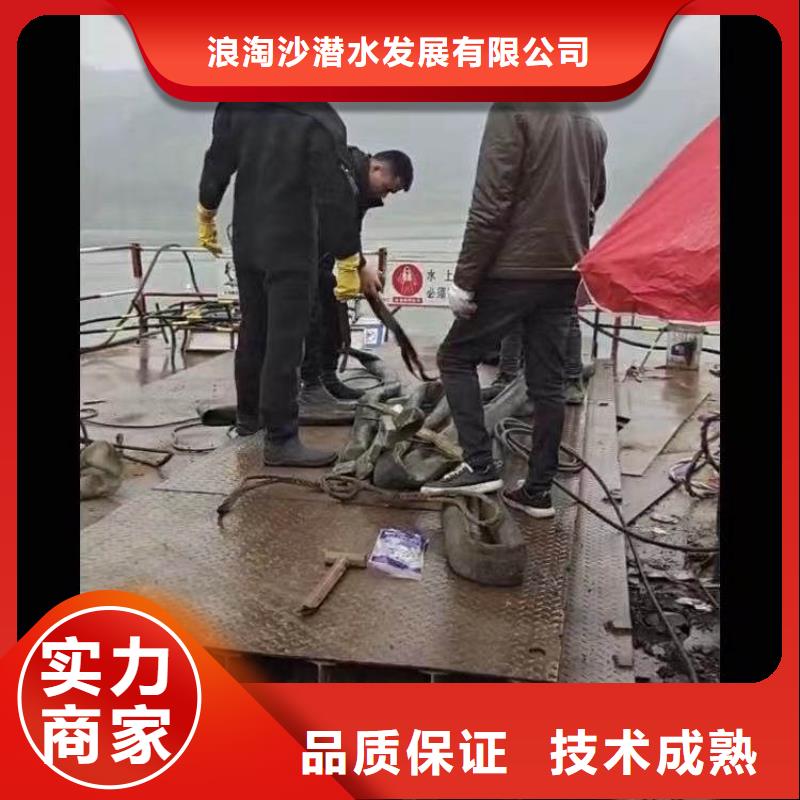 湖泊拼裝起重船出租-上門服務-浪淘沙水工