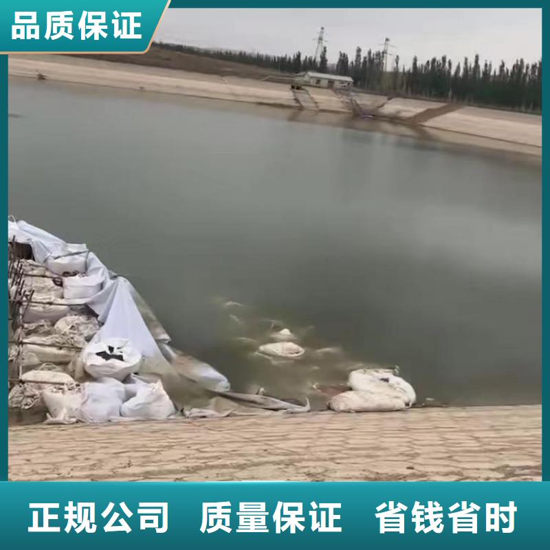水鬼水下維修終身質保浪淘沙潛水員