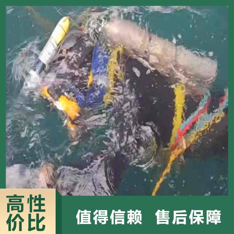 碼頭水下安裝承接bbs浪淘沙水工