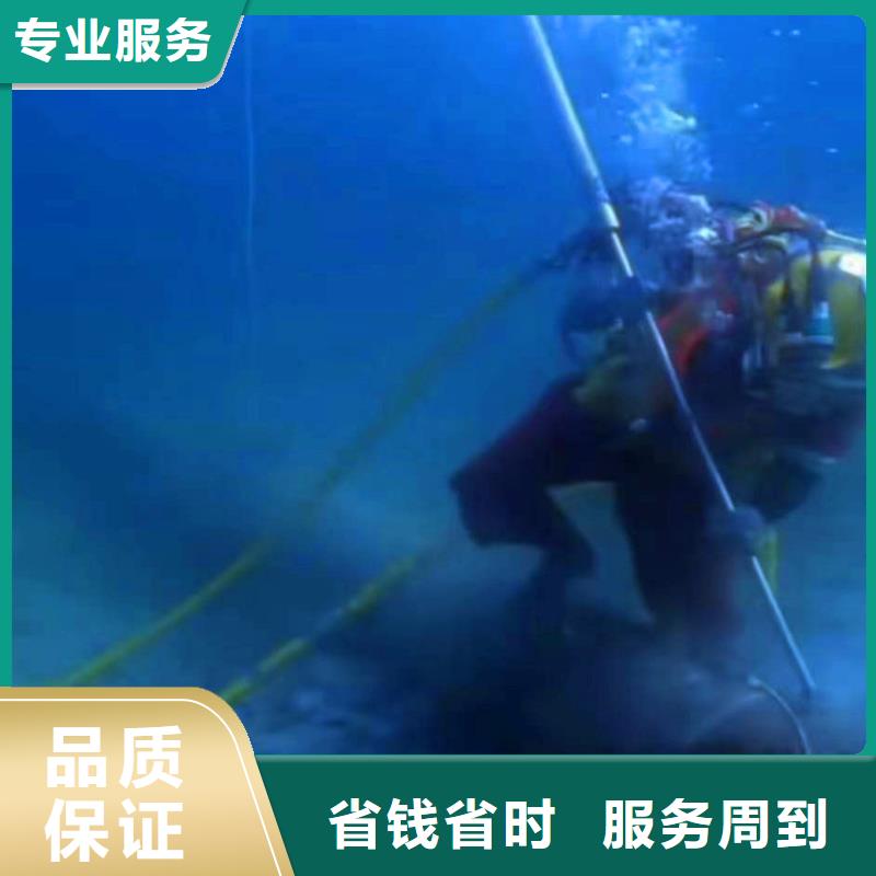 水下錄像公司一切準備就緒-潛水選擇浪淘沙