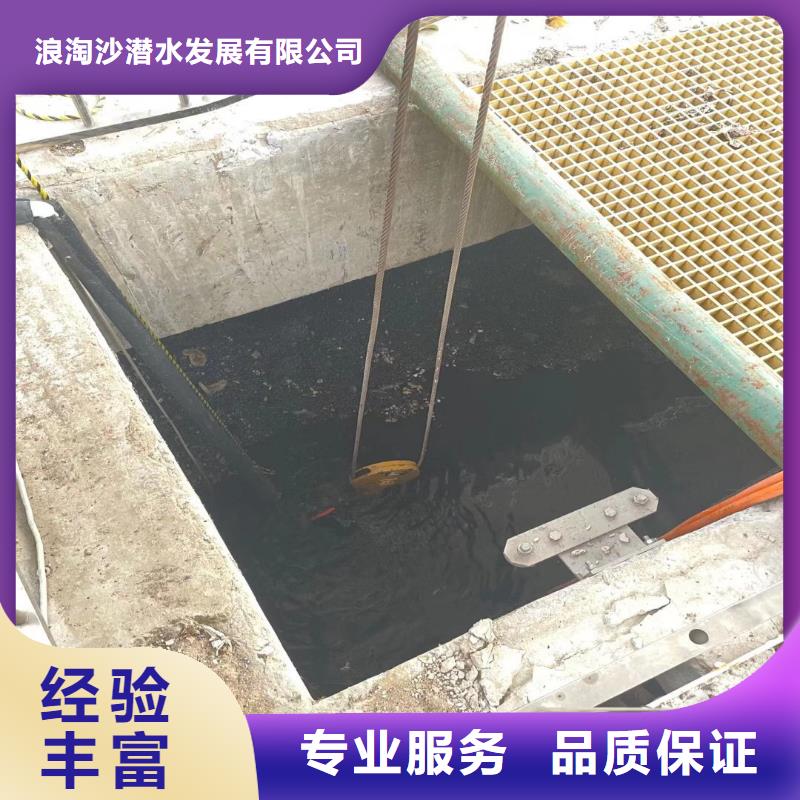潛水員水下拍照錄像公司-零售-經驗老道