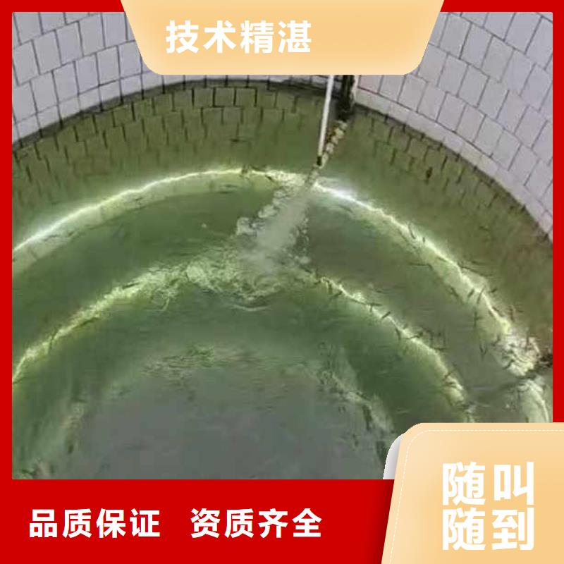 水下施工潛水團隊高品質(zhì)