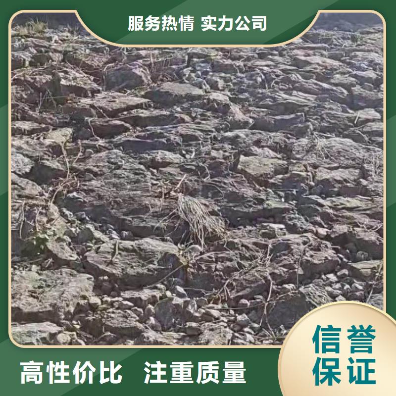 潛水員封堵管道公司一來圖定制一水下拍照