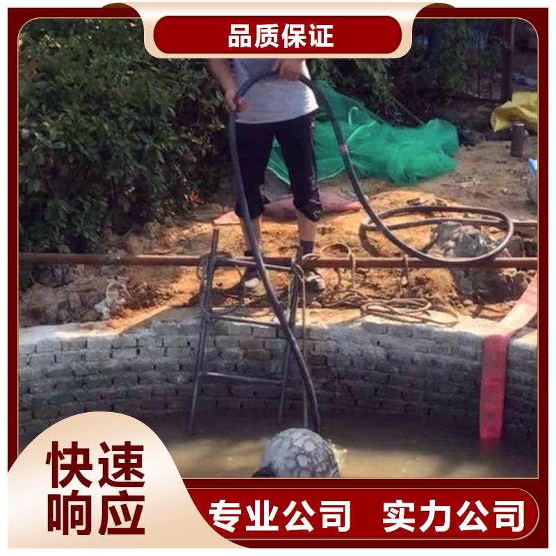 潜水员服务水下摄影专业团队