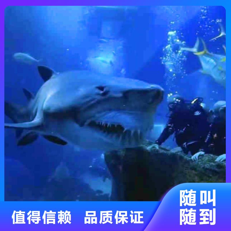 2025歡迎您污水管道箱涵檢測漏點修補<龍港水下切割>這家公司可以信賴