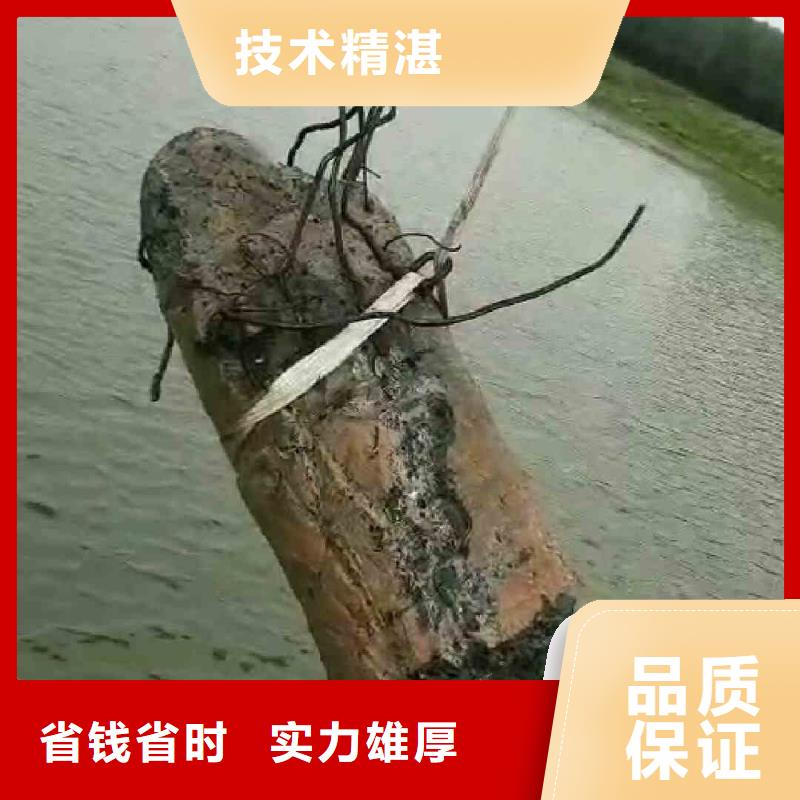 潛水員服務水下橋墩加固正規