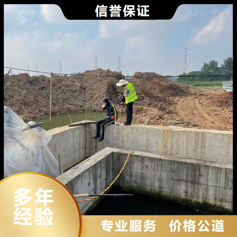 潛水工程,水下照相服務品質優