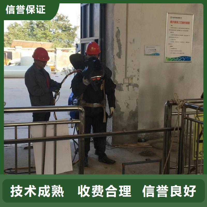 水下维修 水下拆除工程实力雄厚