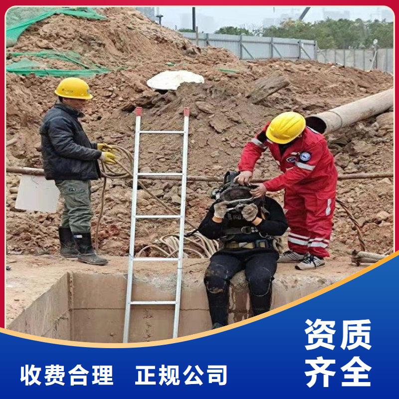 廠家批量供應(yīng)水里面維修閘門