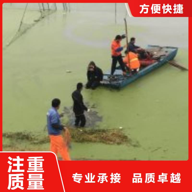 免費咨詢物美價廉