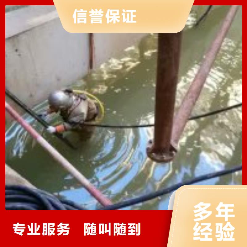 廠家供應蛙人潛水更換微孔曝氣盤