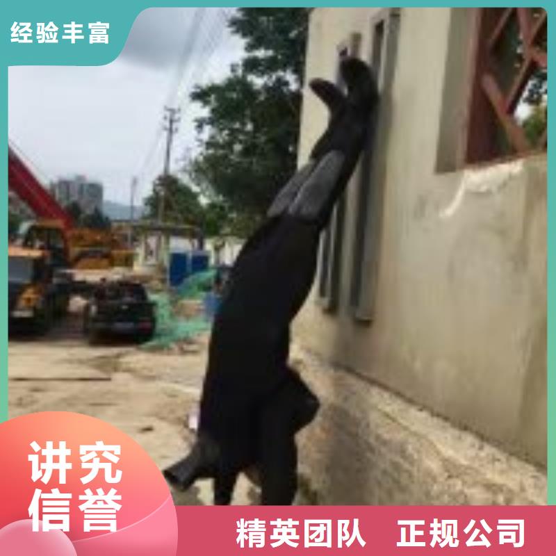 氣囊封堵安裝批發廠家