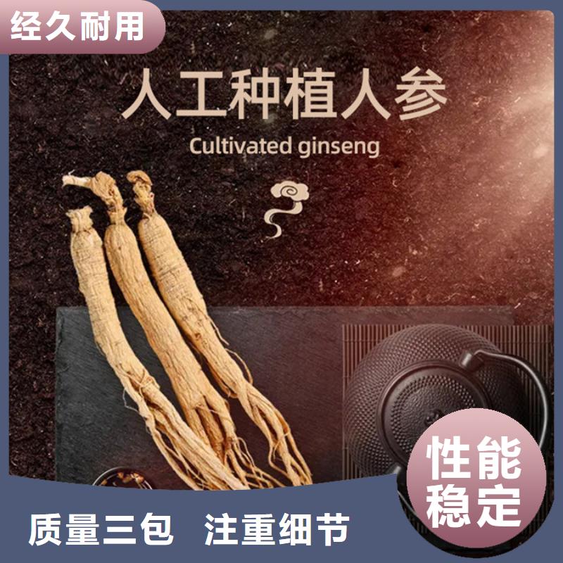 人參牡蠣片多少錢一盒設計