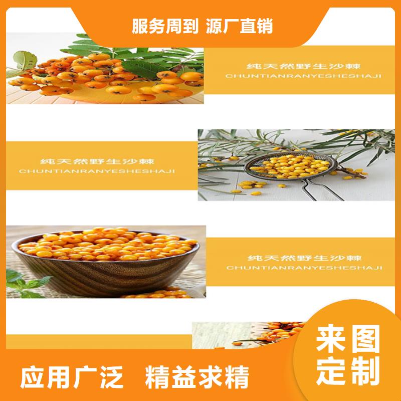 人參牡蠣批發(fā)廠家價(jià)格優(yōu)惠