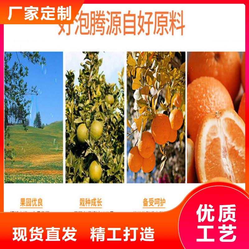 人參牡蠣批發(fā)廠家價(jià)格優(yōu)惠