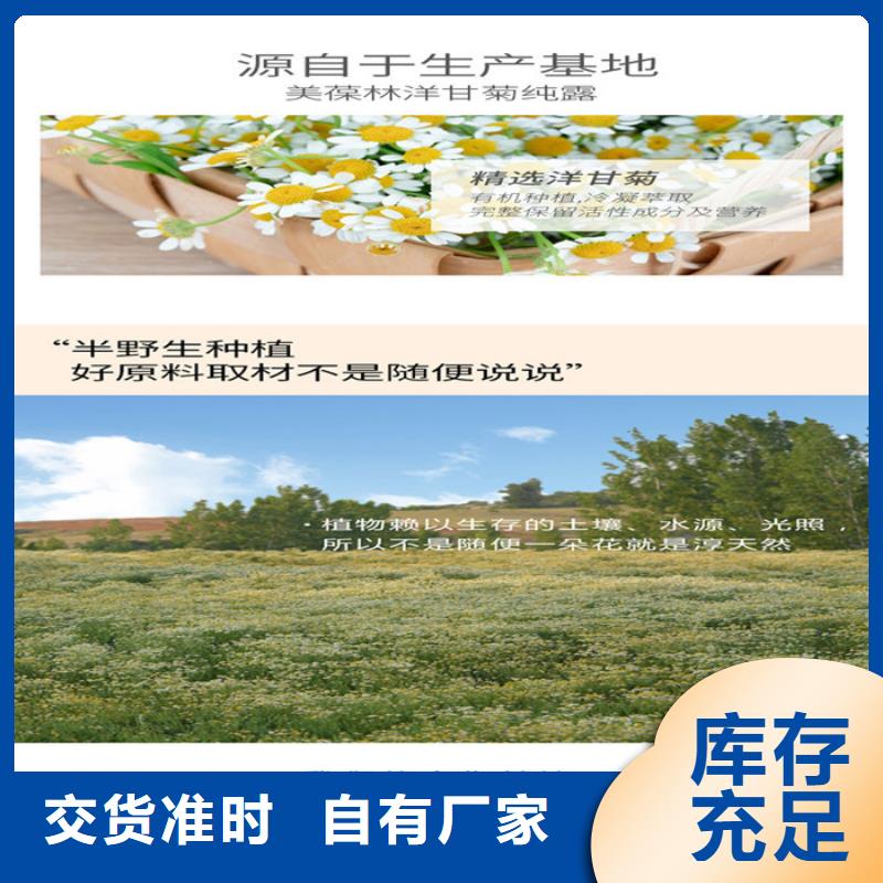 人參牡蠣可定制廠家