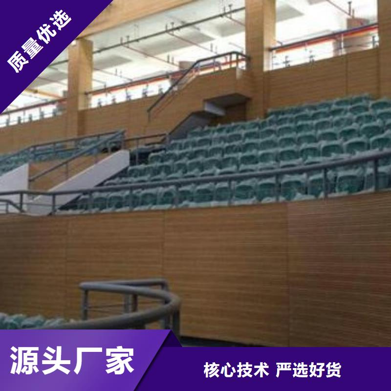 泉港區集團公司體育館聲學改造方案--2025近方案/價格