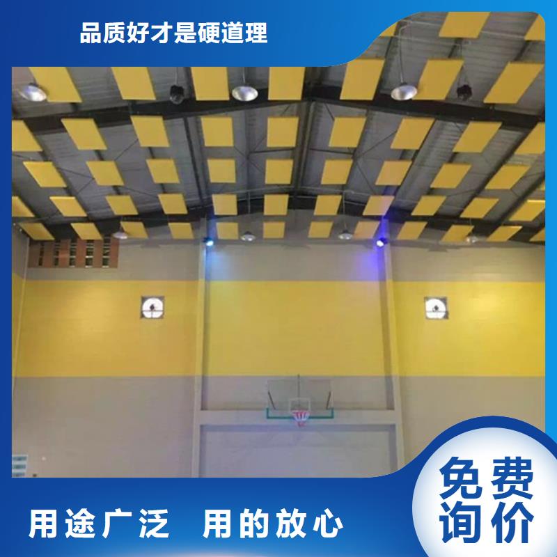 莞城街道集團(tuán)公司體育館聲學(xué)改造方案--2025近方案/價(jià)格