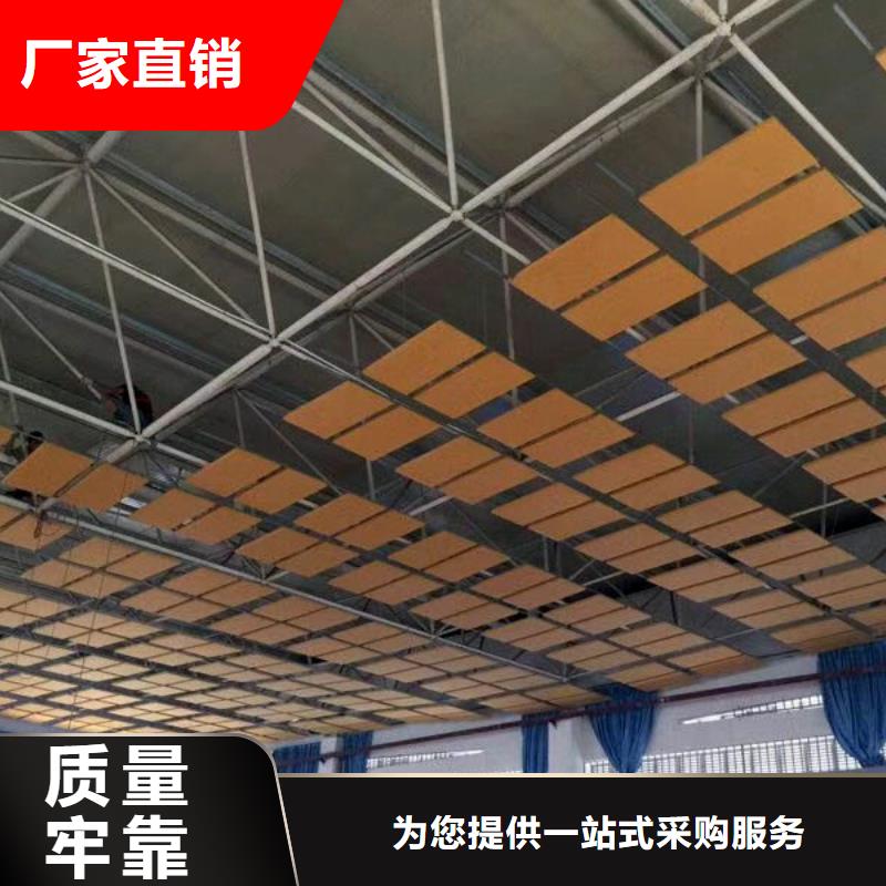 縣專業體育館聲學改造方案--2025近方案/價格