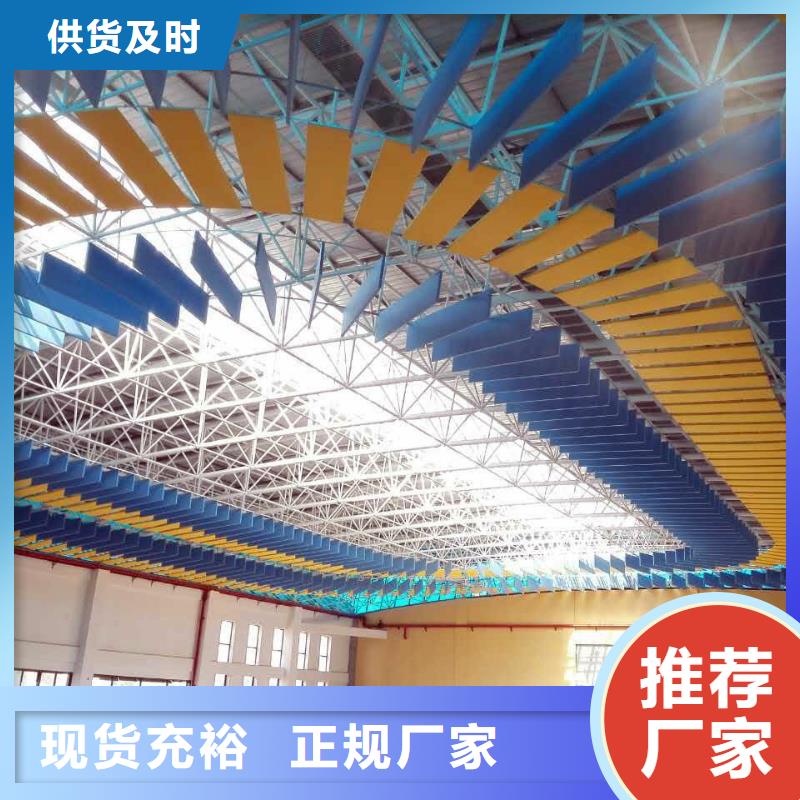 縣專業體育館聲學改造方案--2025近方案/價格