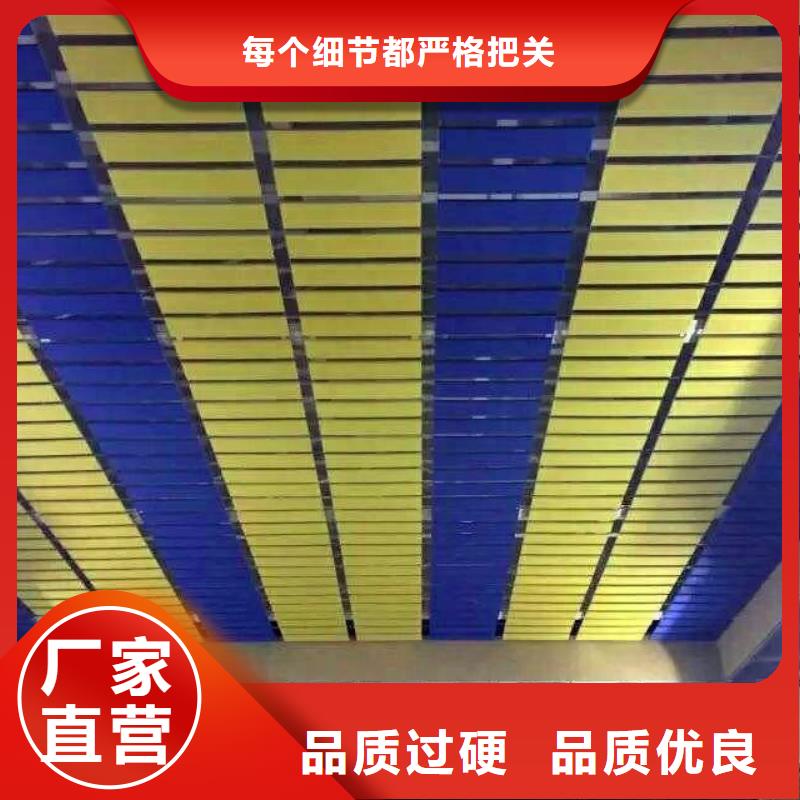 縣體育館聲學改造方案--2025近方案/價格