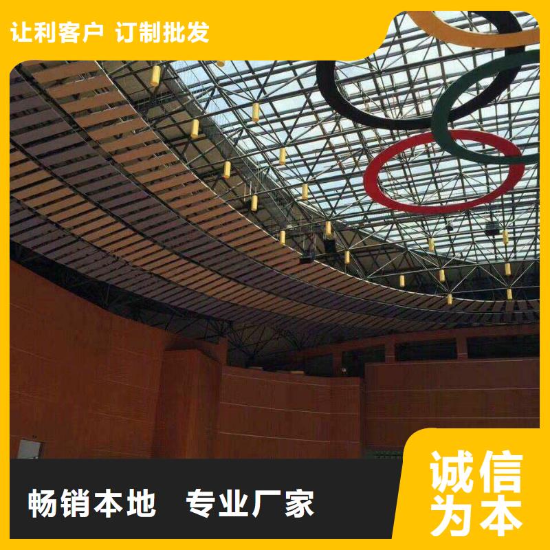 縣跳水館體育館聲學改造方案--2025近方案/價格