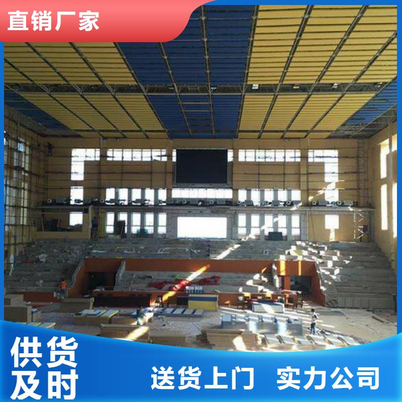 縣體育館聲學改造方案--2025近方案/價格