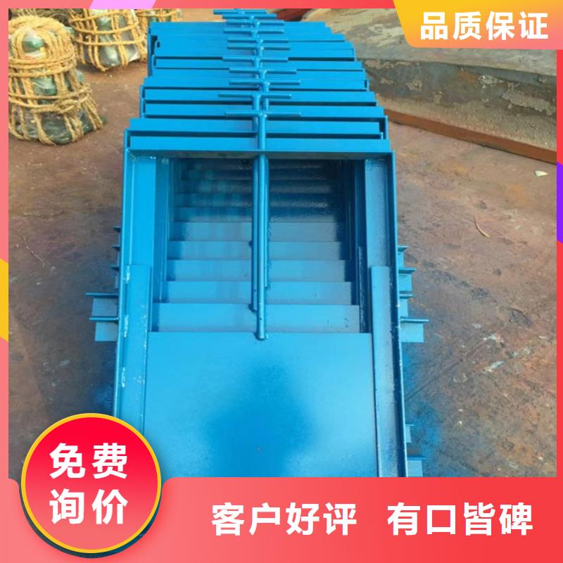 批發(fā)河道鋼制閘門的經(jīng)銷商