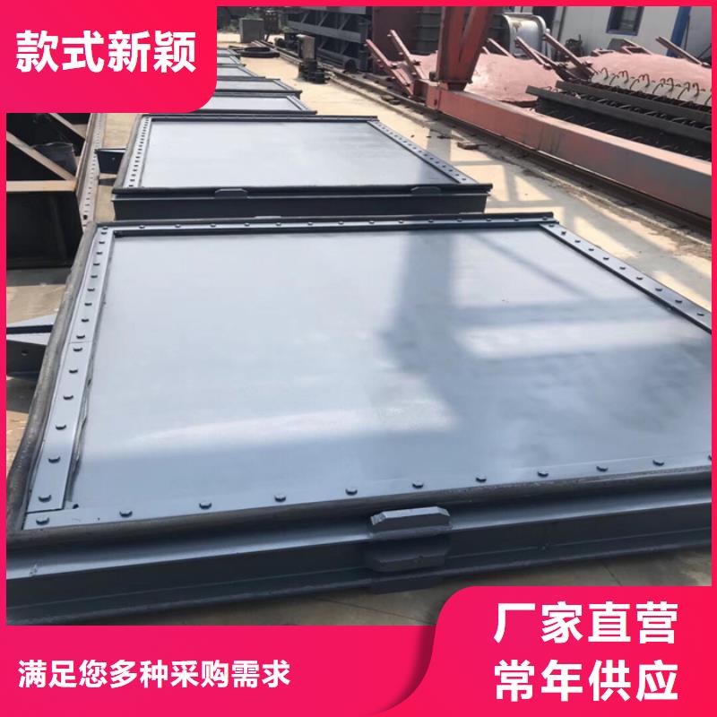 的泵站鑄鐵閘門廠家