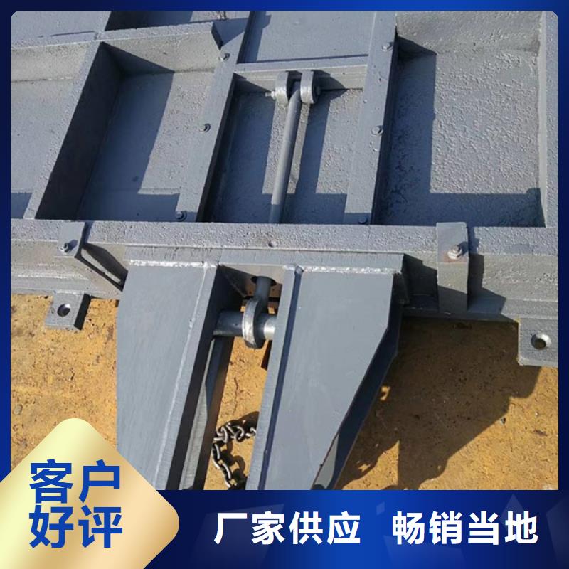 弧形鋼制閘門、弧形鋼制閘門廠家-找海騰水工機械廠