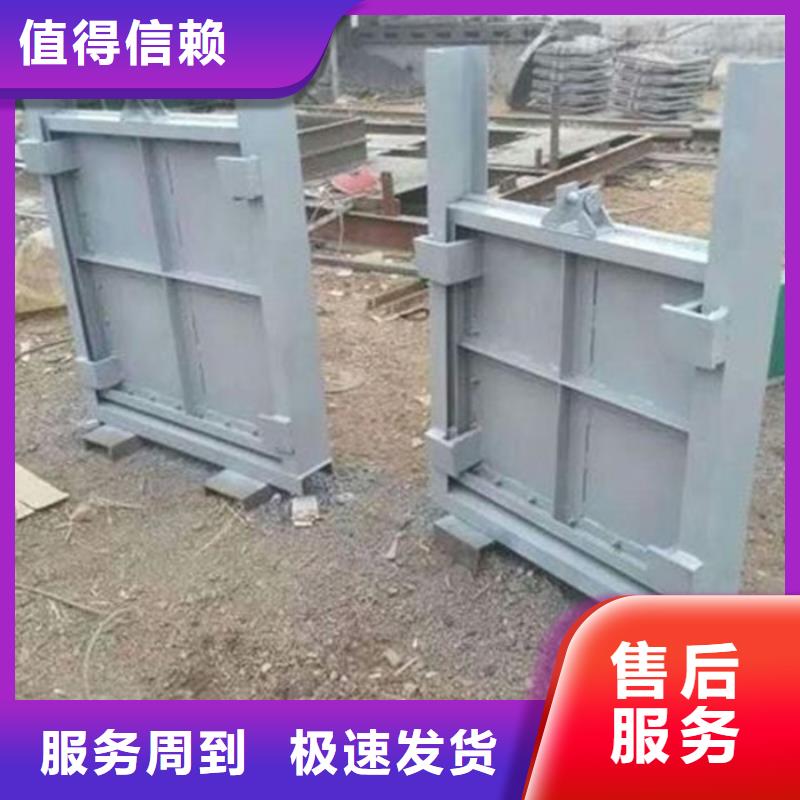 賣平面定輪鋼制閘門的批發商