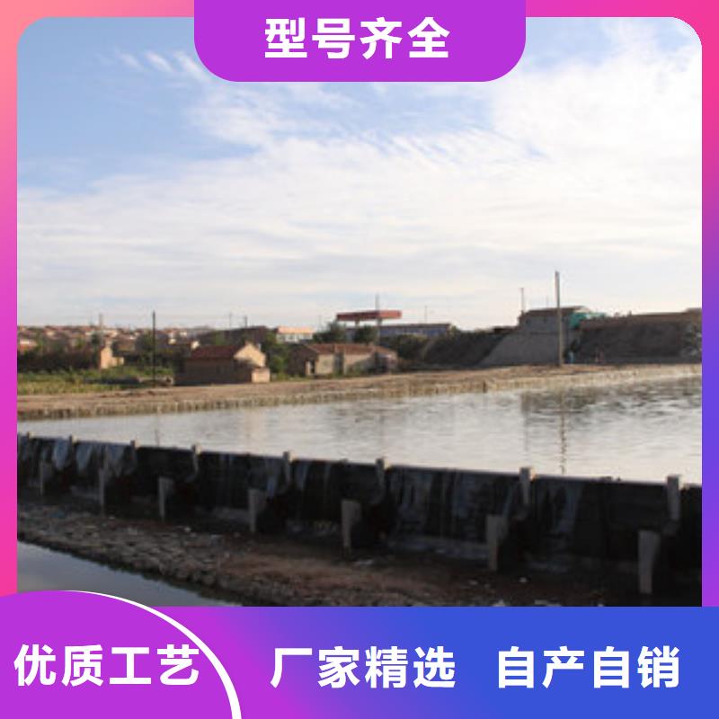 底橫軸旋轉(zhuǎn)液壓鋼壩一站式服務(wù)