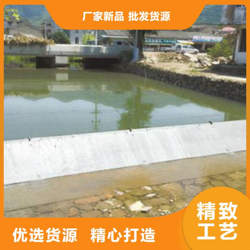 液壓翻板鋼閘門大品牌值得信賴