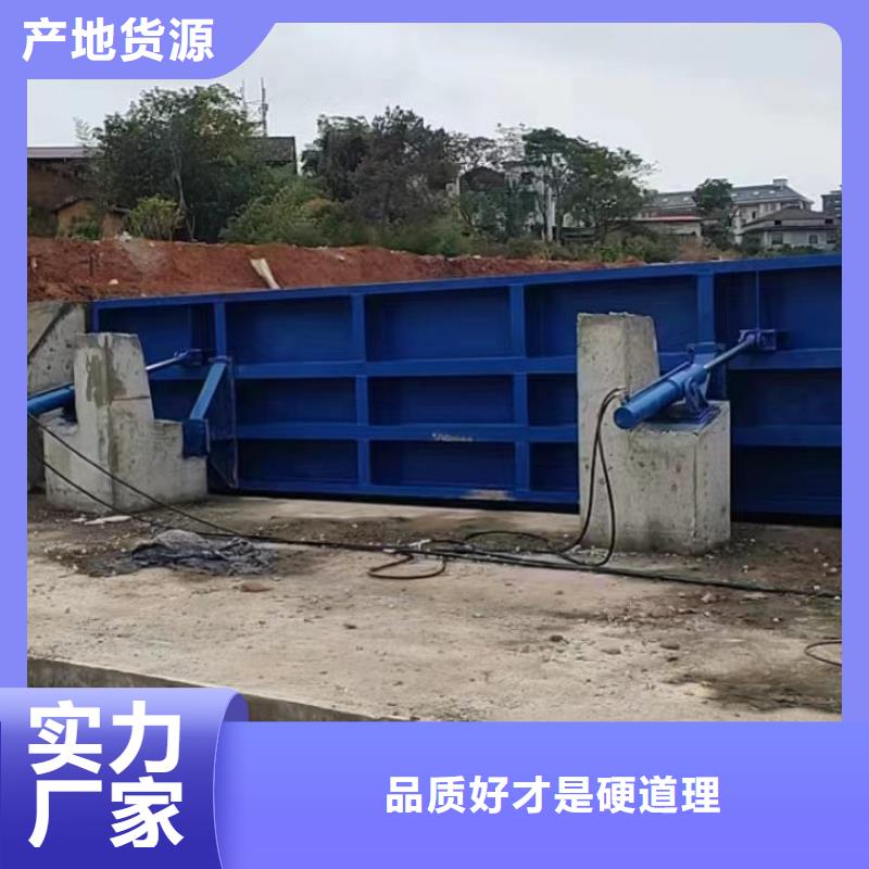 液壓翻板鋼閘門大品牌值得信賴