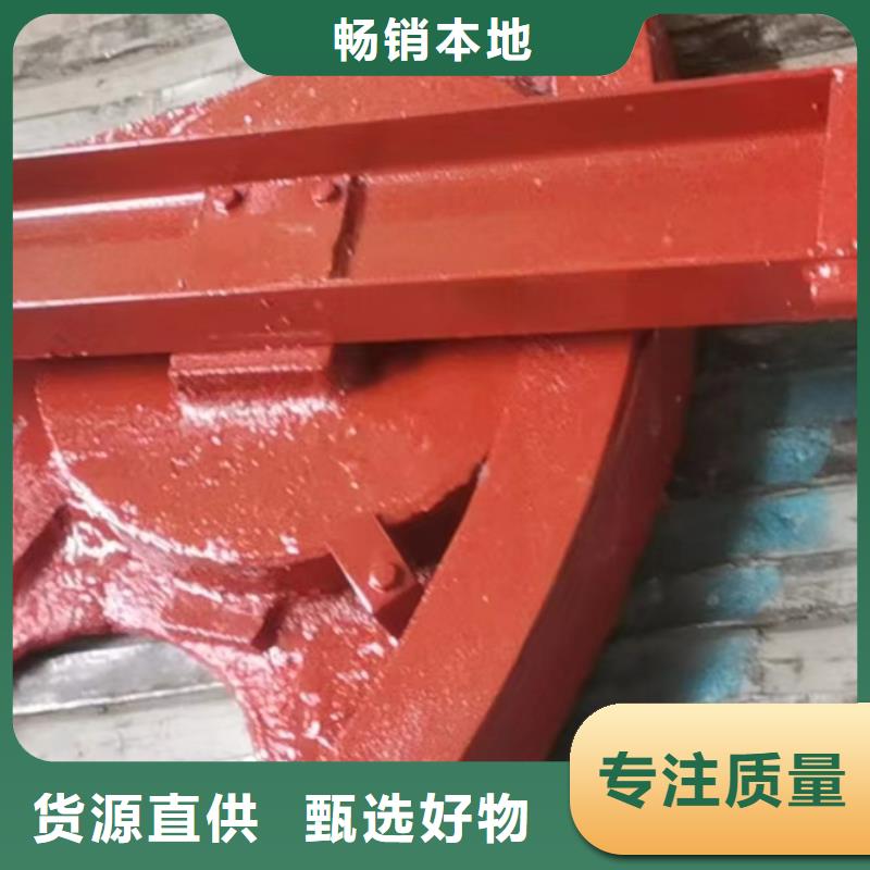 双向镶铜铸铁闸门供应