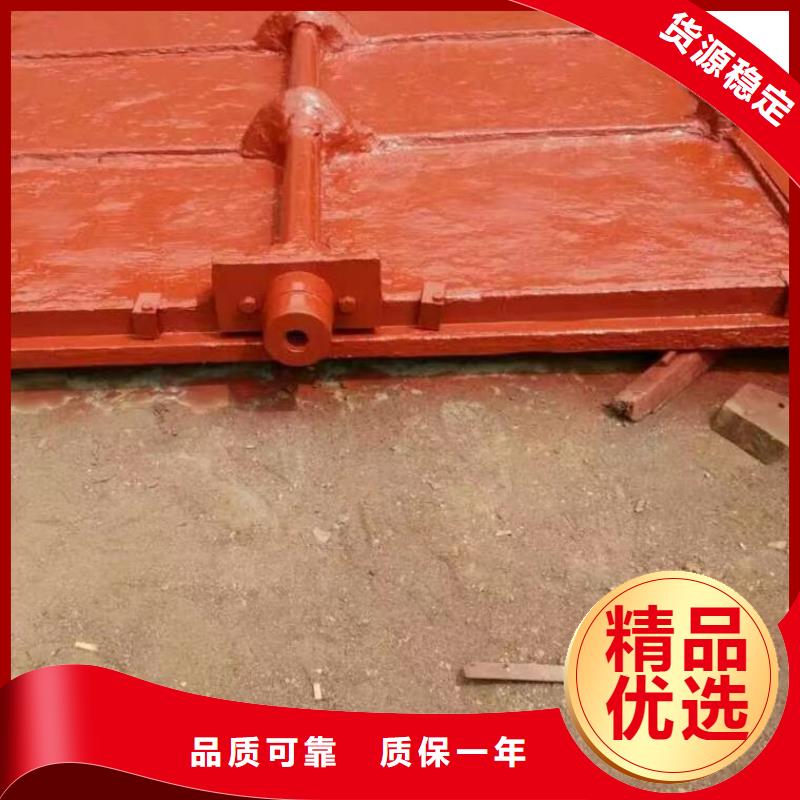 鑄鐵鑲銅閘門廠家直接供貨