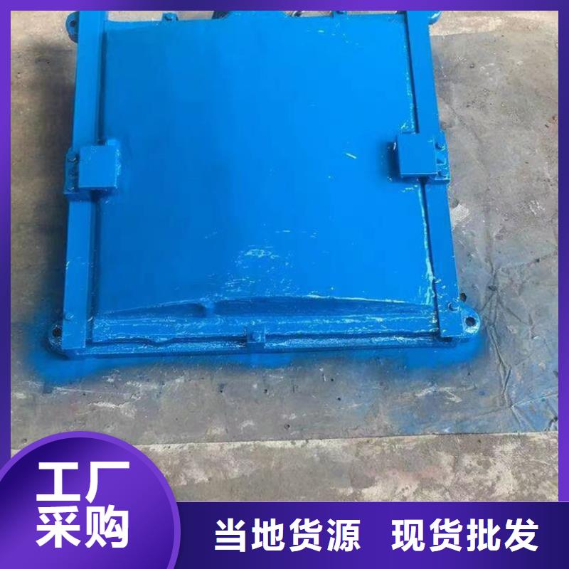 泵站鑄鐵閘門線條優美
