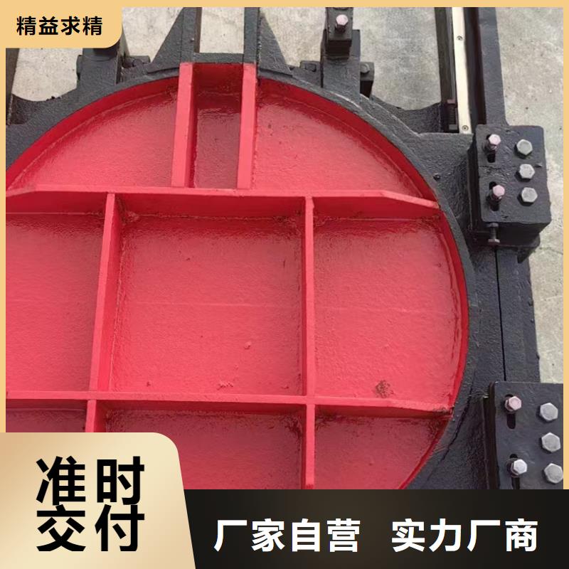 双向镶铜铸铁闸门供应