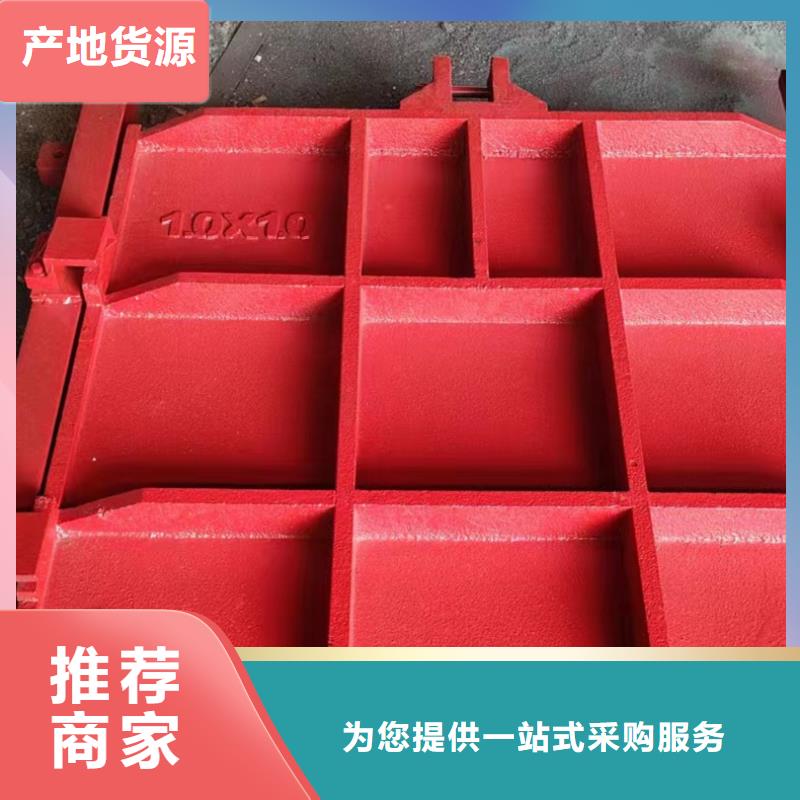 双向镶铜铸铁闸门供应