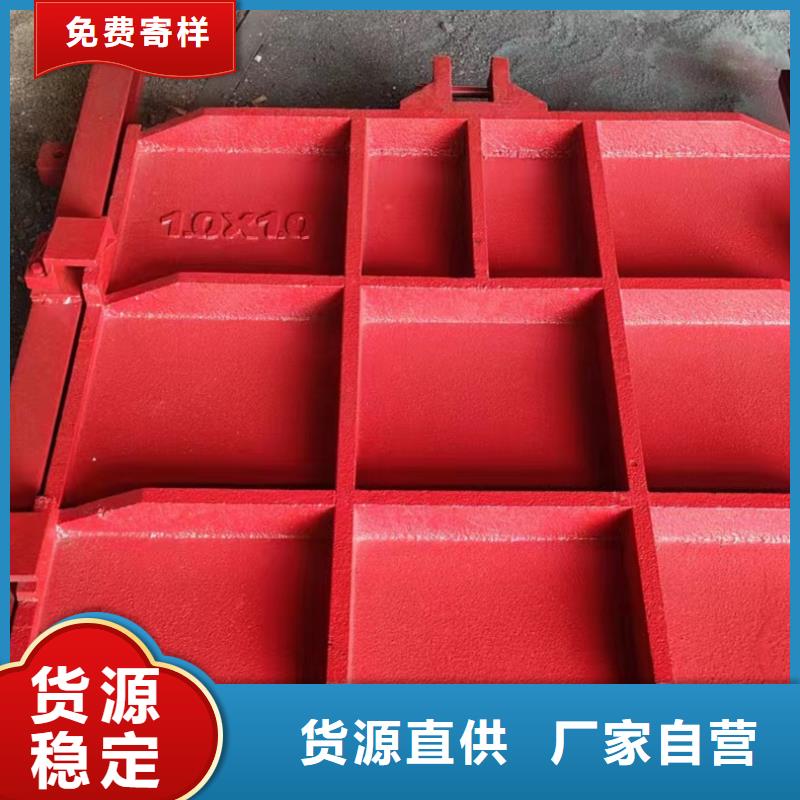 鑄鐵鑲銅閘門廠家