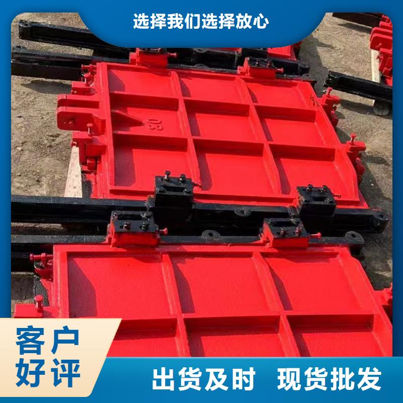 双向镶铜铸铁闸门供应