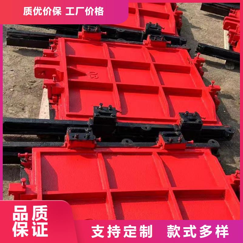 泵站鑄鐵閘門線條優美