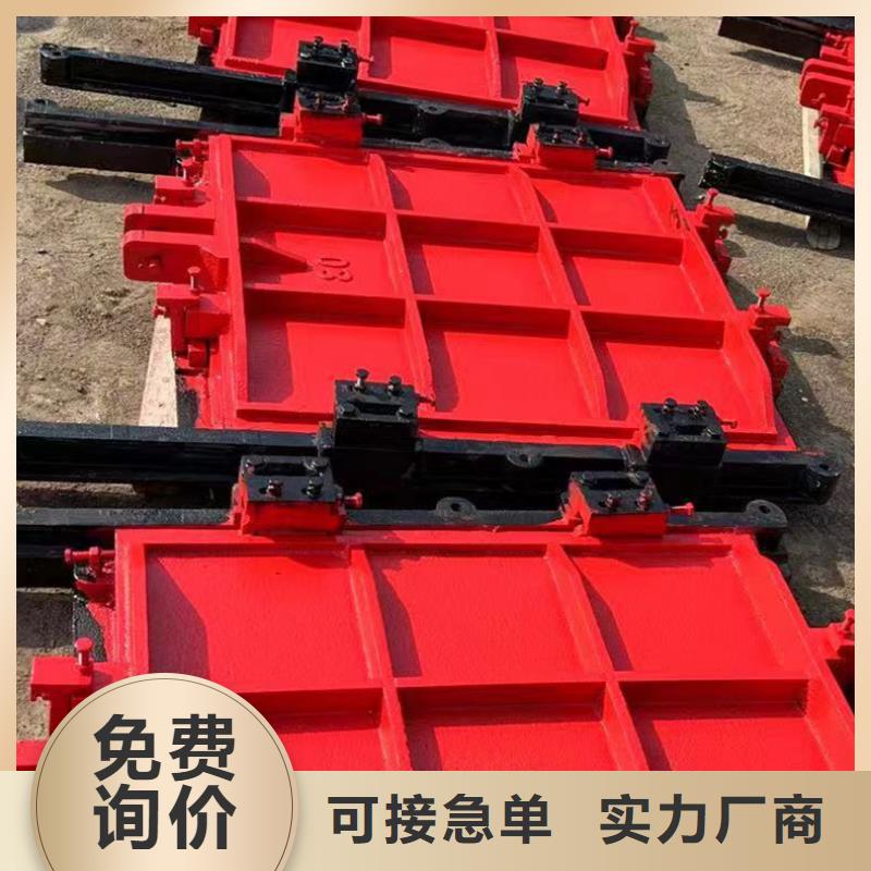 泵站鑄鐵閘門線條優美